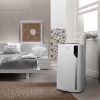Picture of De'Longhi Pinguino 4-in-1: Air Conditioner, Heater, Dehumidifier, and Fan