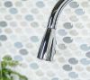 Picture of Project Source Tucker Chrome Single Handle Pull-down Kitchen Faucet with Deck Plate