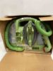 Picture of BISSELL Little Green Portable Carpet Cleaner with Professional Spot 