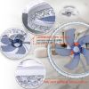 Picture of Baycnic Ceiling Fan with Bluetooth Speakers,Remote APP Control,6-Speeds Reversible Blade