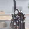 Picture of Project Source Gatebridge Oil Rubbed Bronze Double Handle Kitchen Faucet ($100 on Lowes)